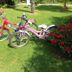 Andere